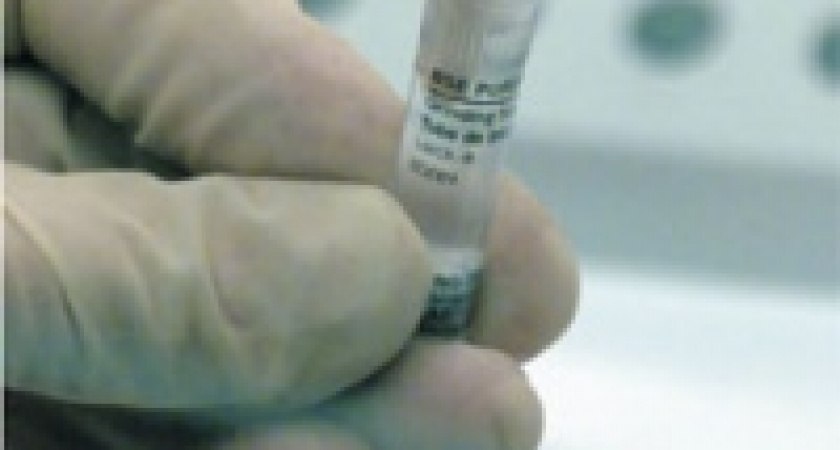 Здравствуй, коровье бешенство