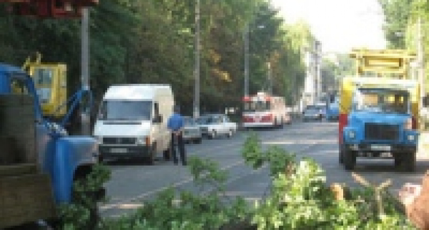 Деревья падали на автомобили и балконы