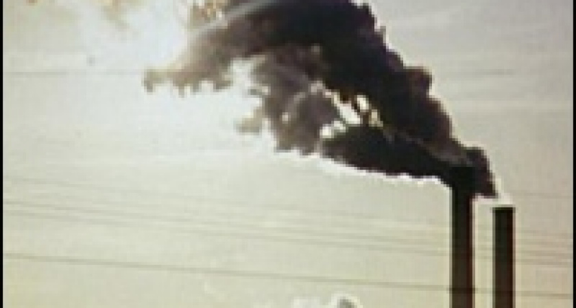 Врагов экологии оштрафуют