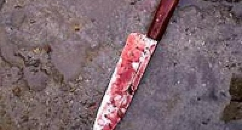 Получил ударом ножом за замечание 