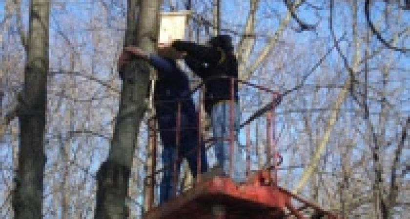 50 человек повесили 15 домиков