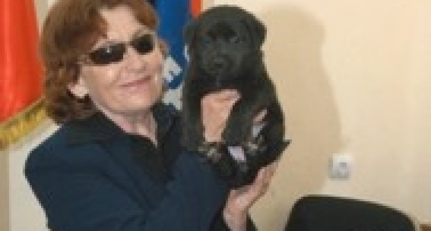 В Липецке по поручению Путина пенсионерке подарили лабрадора