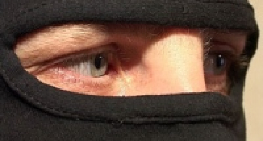 Налетчики связали строжа 