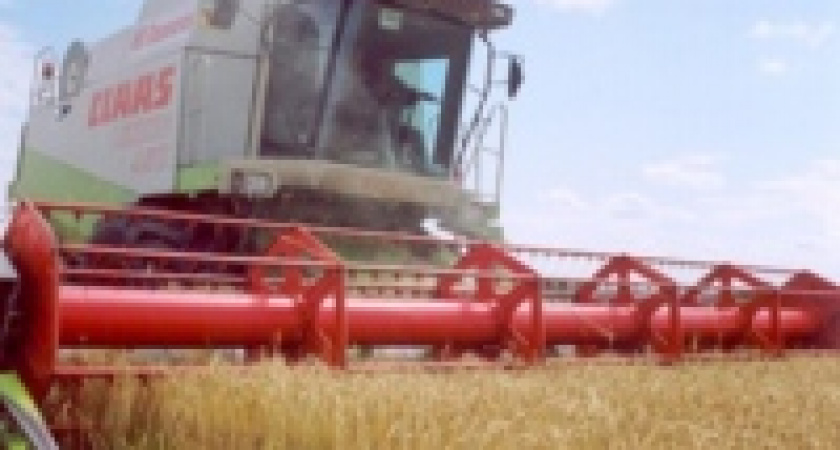 На полях Липецкой области собрали более полутора миллионов тонн зерна