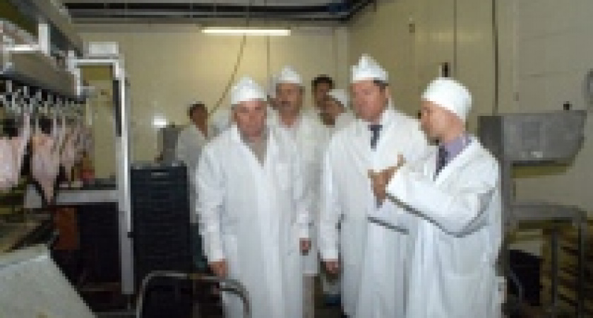 В Липецке будут развивать «зеленую» энергетику