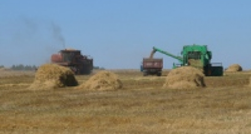 «Настюша» - главный нарушитель 