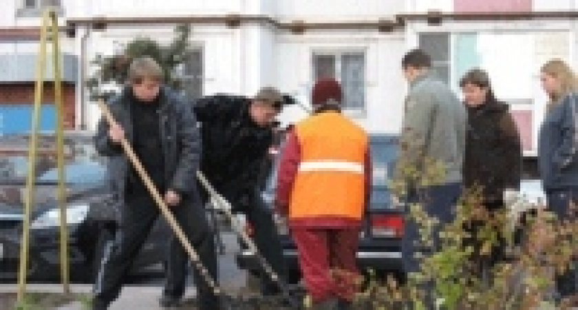 Гулевский и Синюц сажали деревья 