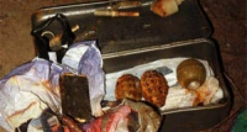 Возле Липецка нашли ящик с гранатами 