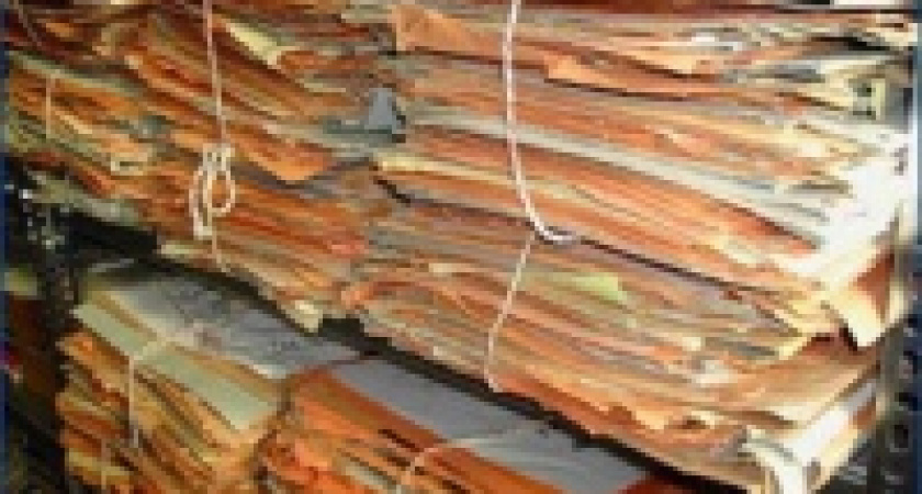 В архиве можно найти предков из XVII века