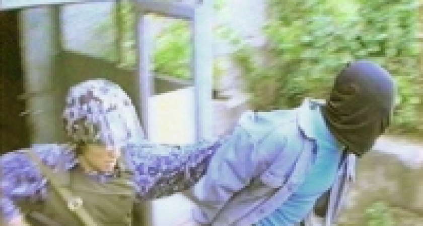 За «Мартини» с пистолетом...