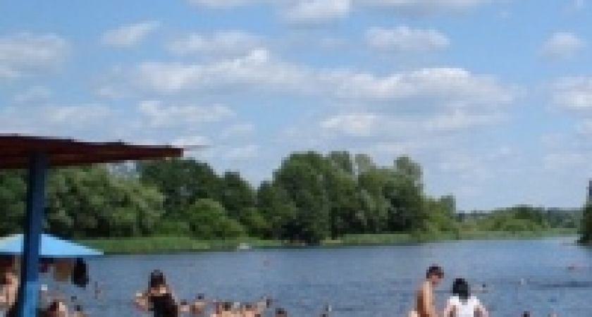 Опасные кувшинки