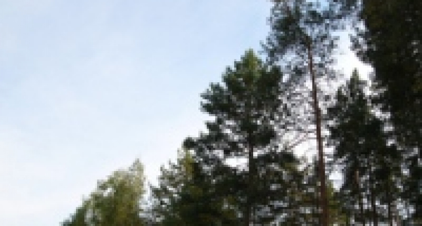 Радиационная обстановка на территории Липецкой области - в норме 