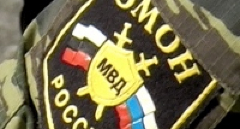 Бойцы ОМОН задержали в Липецке уличных грабителей  