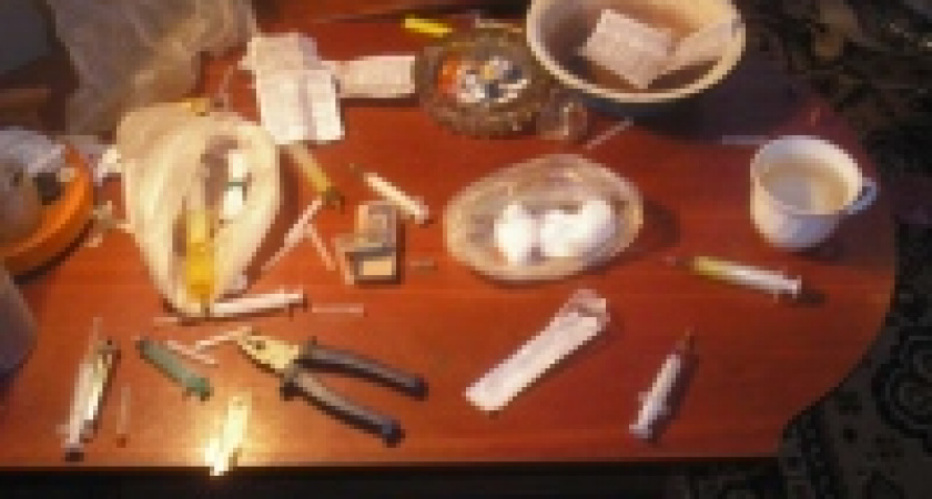 Притон в общежитии 