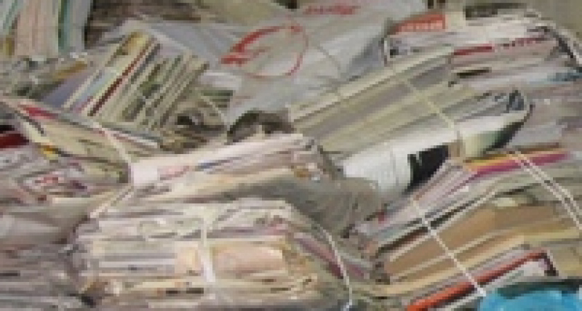 Ученики прогимназии №59 лидируют в конкурсе по сбору макулатуры 