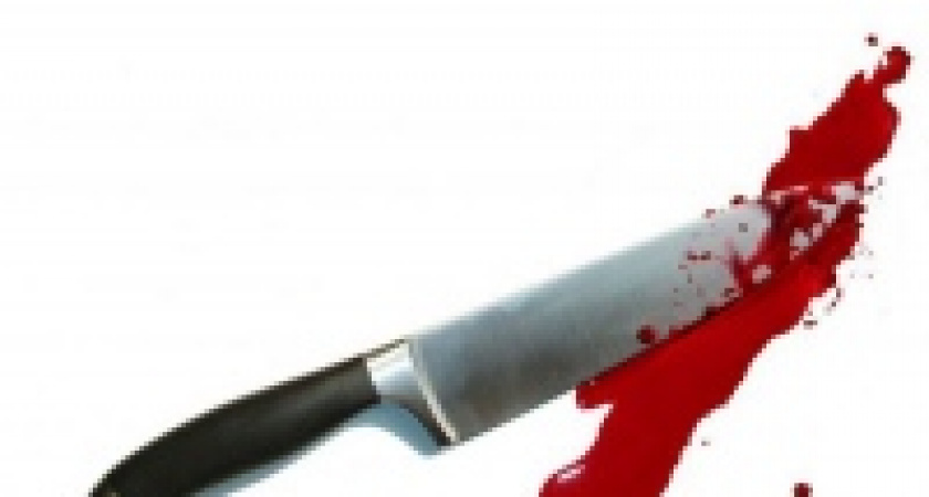 В Липецкой области задержан подозреваемый в убийстве трех человек 