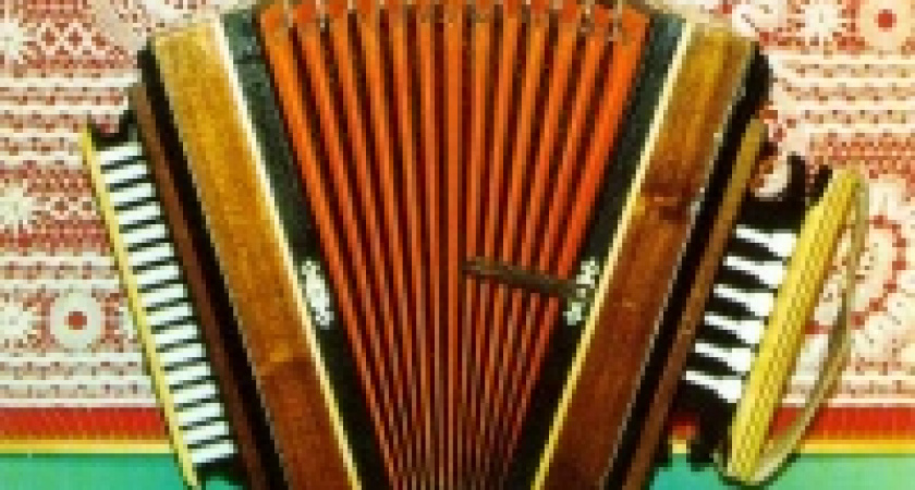 В Липецкой области создадут мастерскую по изготовлению рояльных гармошек 