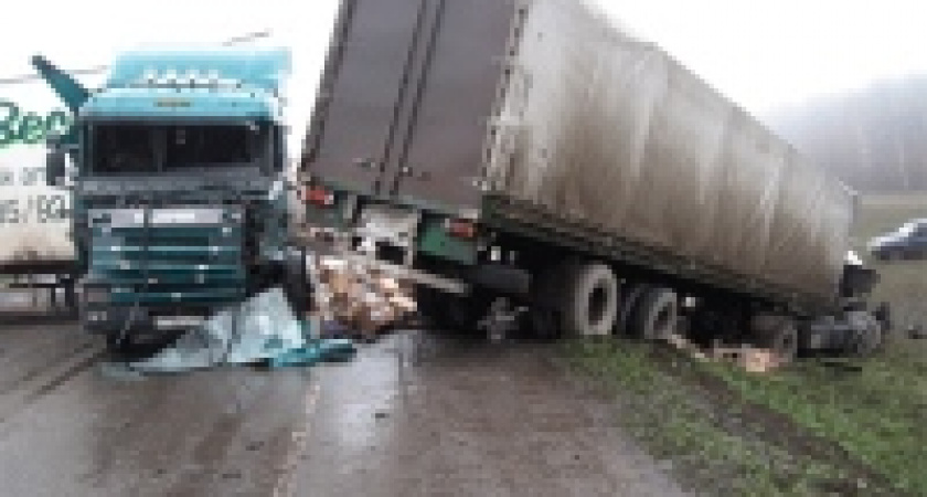 Смертность на дорогах Липецкой области - самая высокая в Черноземье 