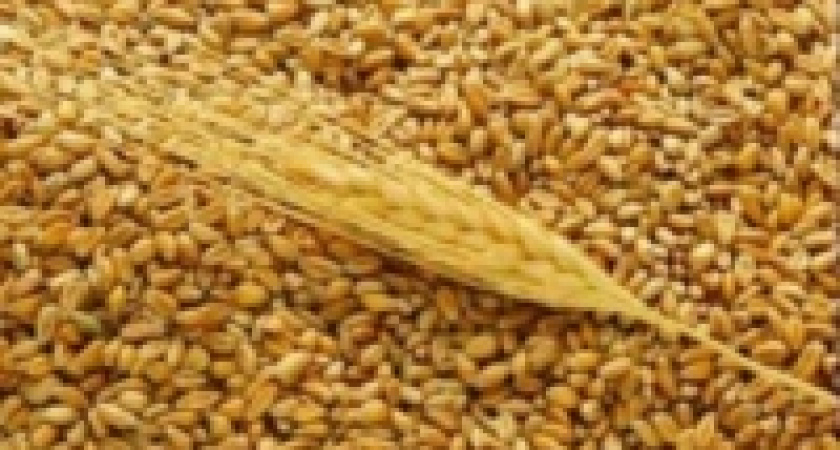 На семинаре в Липецком районе обсуждались возможности расширения заготовительной деятельности