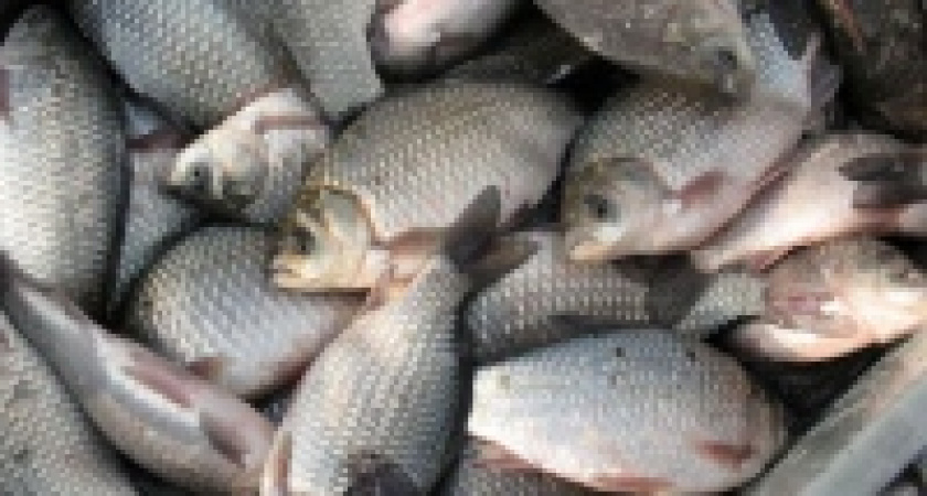 Инвалиды по зрению будут соревноваться в рыболовстве