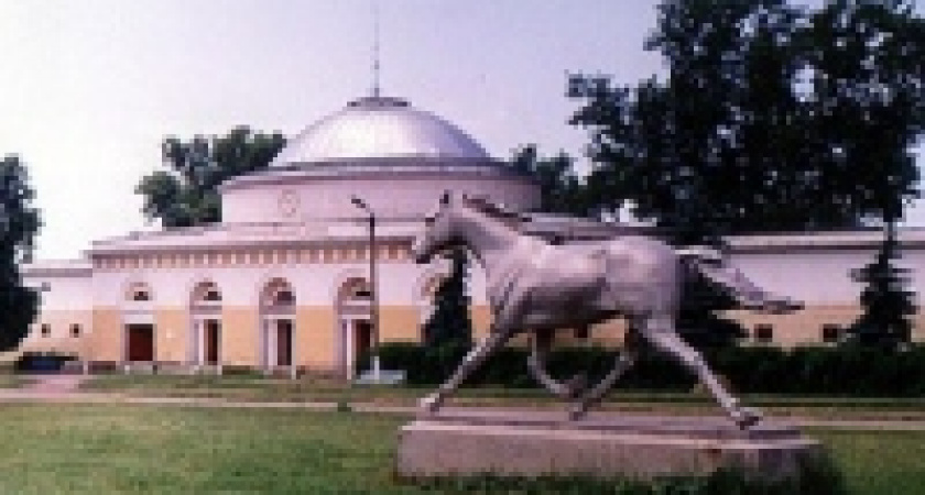 Цыган из Липецка украл дорогого мерина с конезавода в Воронежской области