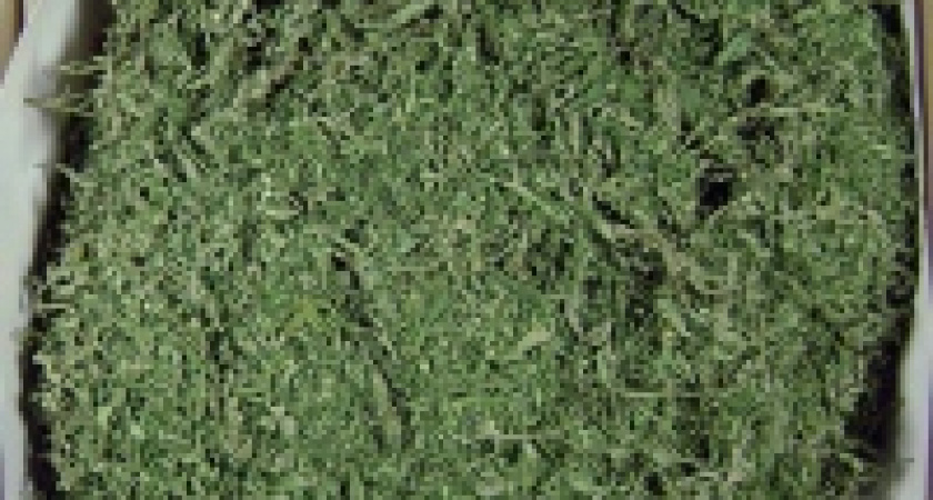 Наркотик в Липецк не попал