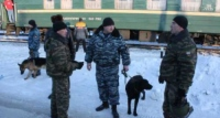 В Липецке саперы и кинологи проверили поезд &laquo;Гомель-Адлер&raquo;