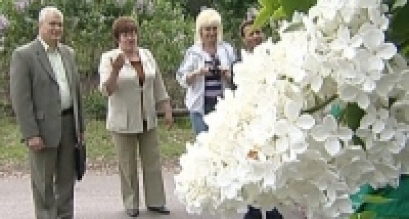 Светлана Щербатых: В других регионах природоохранное законодательство полнее. У нас несколько обтекаемое