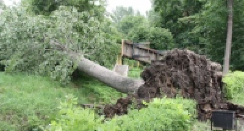 Ураган повредил 23 троллейбуса