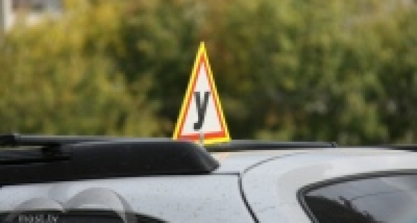 Эксперт: Обучение в автошколах Липецка подорожает