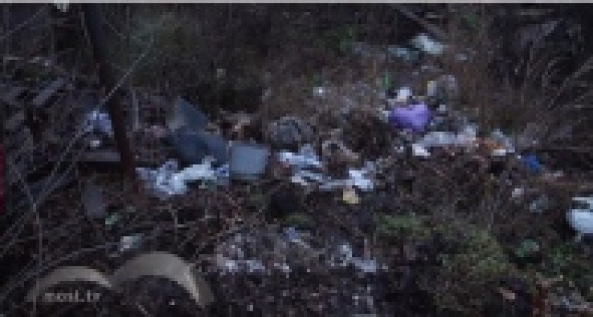 В частном секторе Сырского рудника за вывоз мусора платит только половина жителей