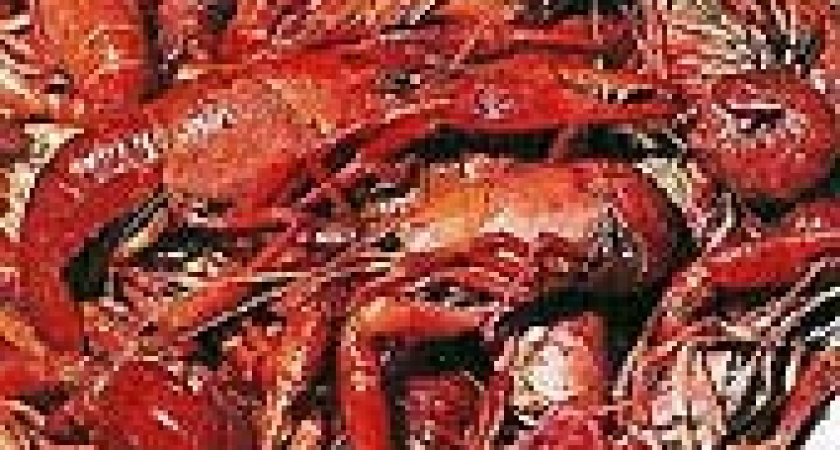 Родственники омаров и креветок под защитой закона.