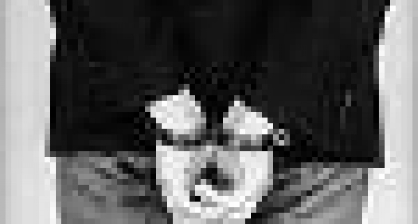 Буйные выходные