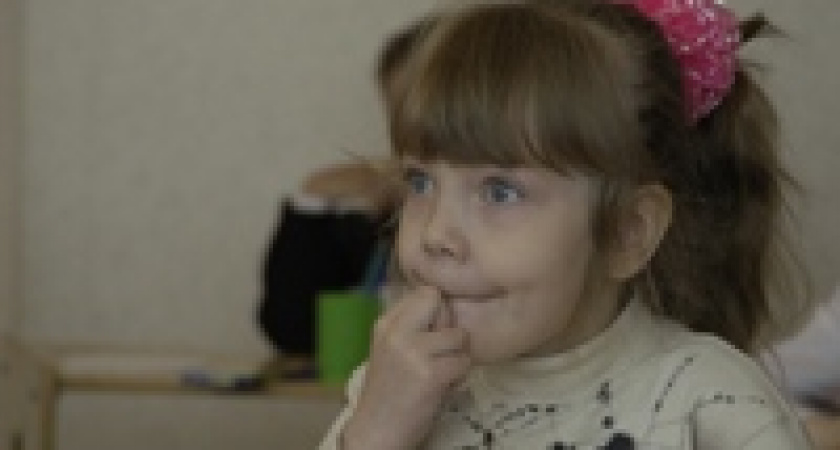 Что ищут ревизоры в детских садах?