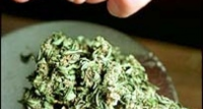  Обыск дал результат