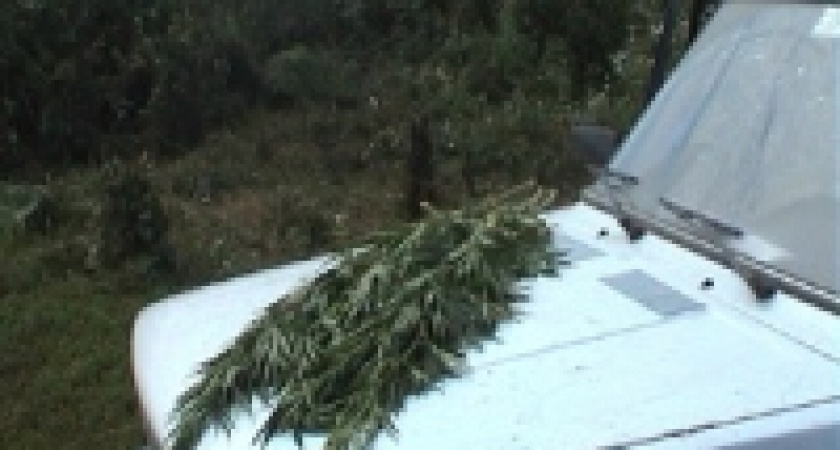 В Липецкой области наркоманов еще мало...