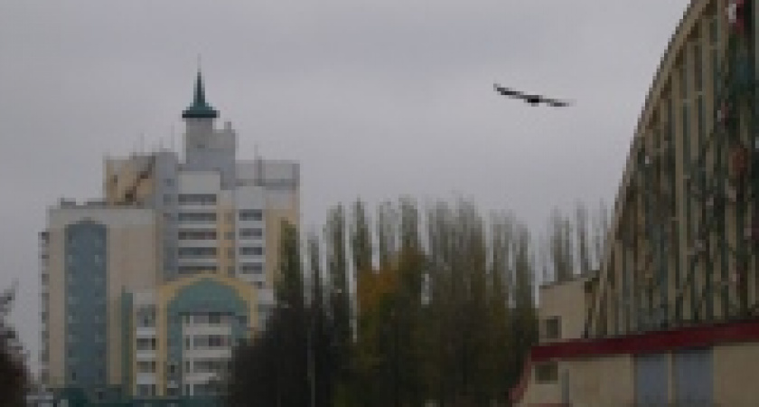 Епархия предупреждает:  в Липецке создается новая секта