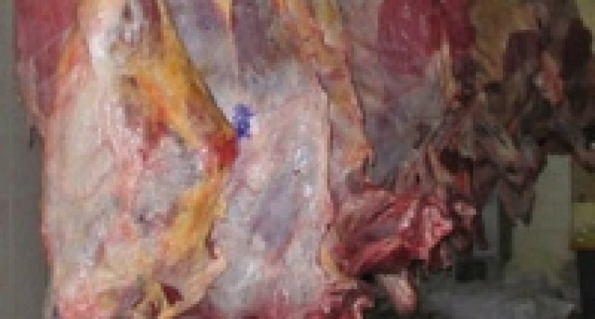 В Липецкой области мяса стало больше