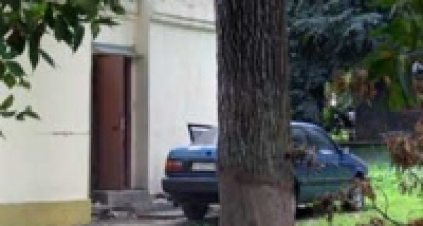 Коммерсант поплатился за то, что загубил старый дуб