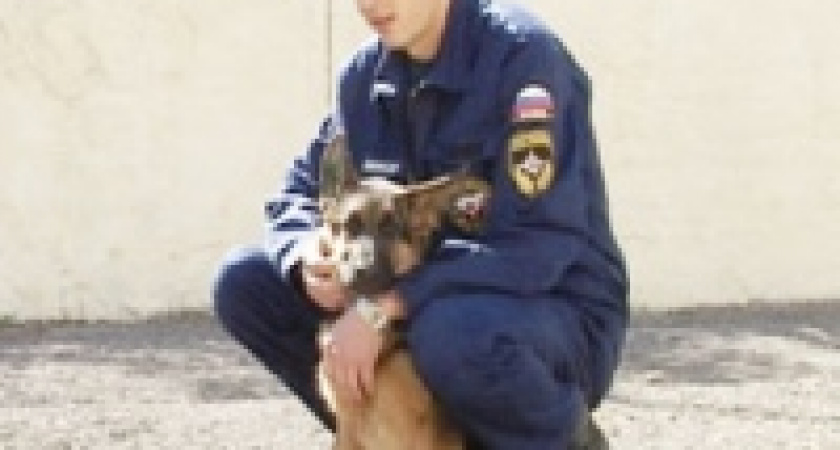 Спасатели Липецка создали собственную кинологическую службу