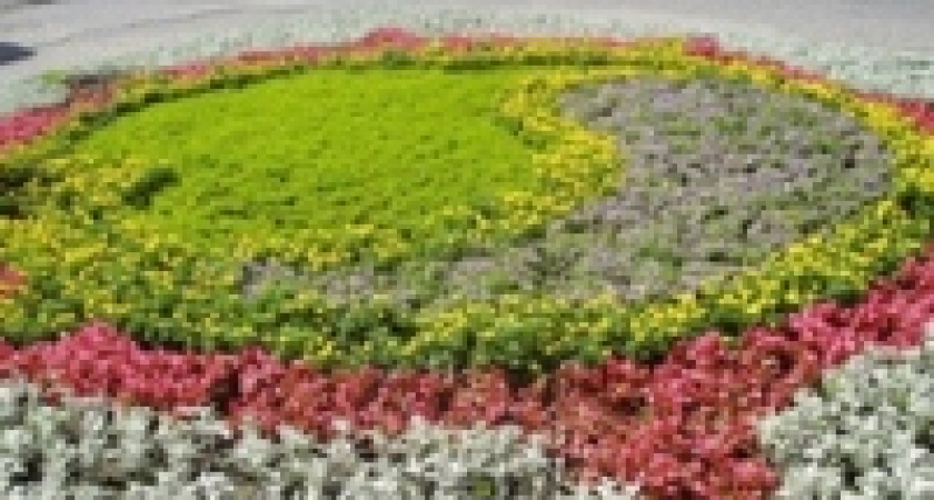 В Быхановом саду Липецка откроется Ботанический сад