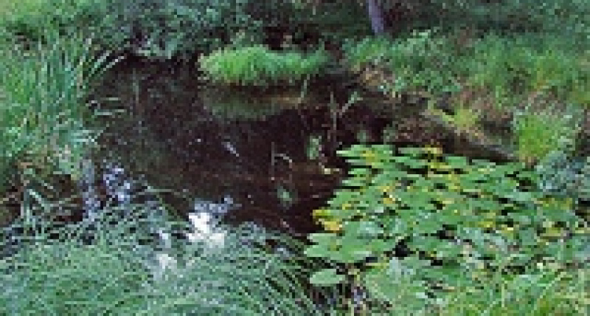 Репрессии для владельцев карамельной фабрики