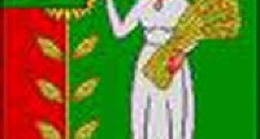 В Добринке местное самоуправление не означает самоуправство