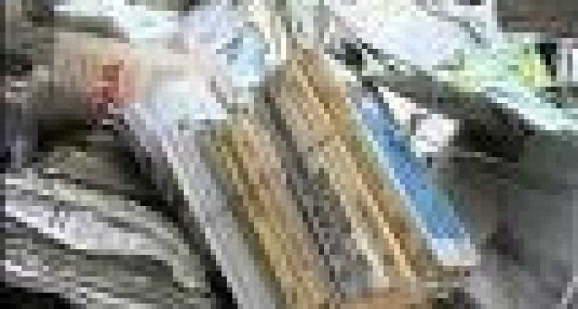 Макулатура и пластик приносят доходы