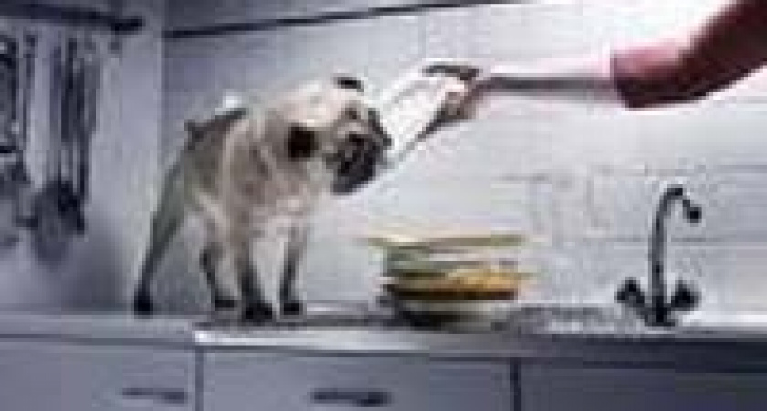 Питьевую воду подвезут