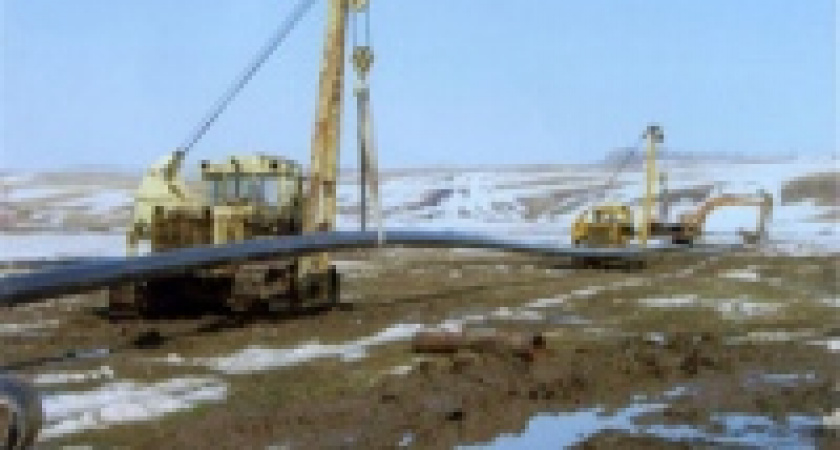 Прокуратура защищает лес от газовщиков