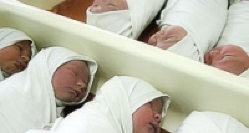 Ксюши и Софы наступают на Анастасий