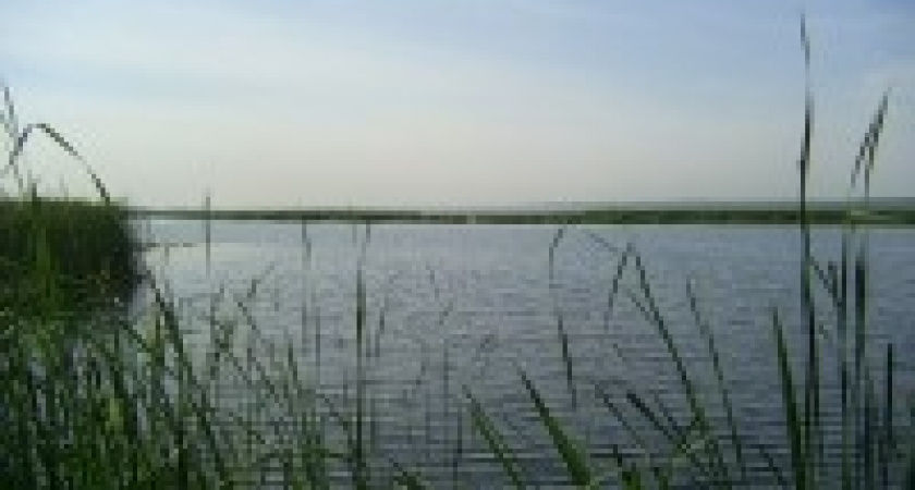 На водоемах Липецкой области ежедневно гибнут люди.
