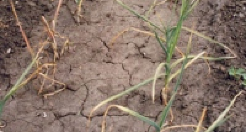 Елецкое предприятие оштрафовано на 100 тысяч рублей