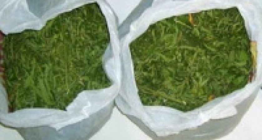 У жителя Липецка нашли 4 кг марихуаны 